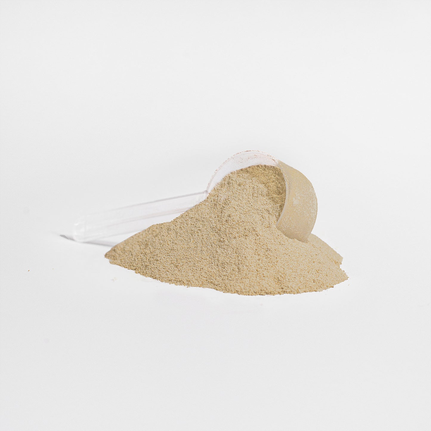 Whey Protein (Salty Caramel)