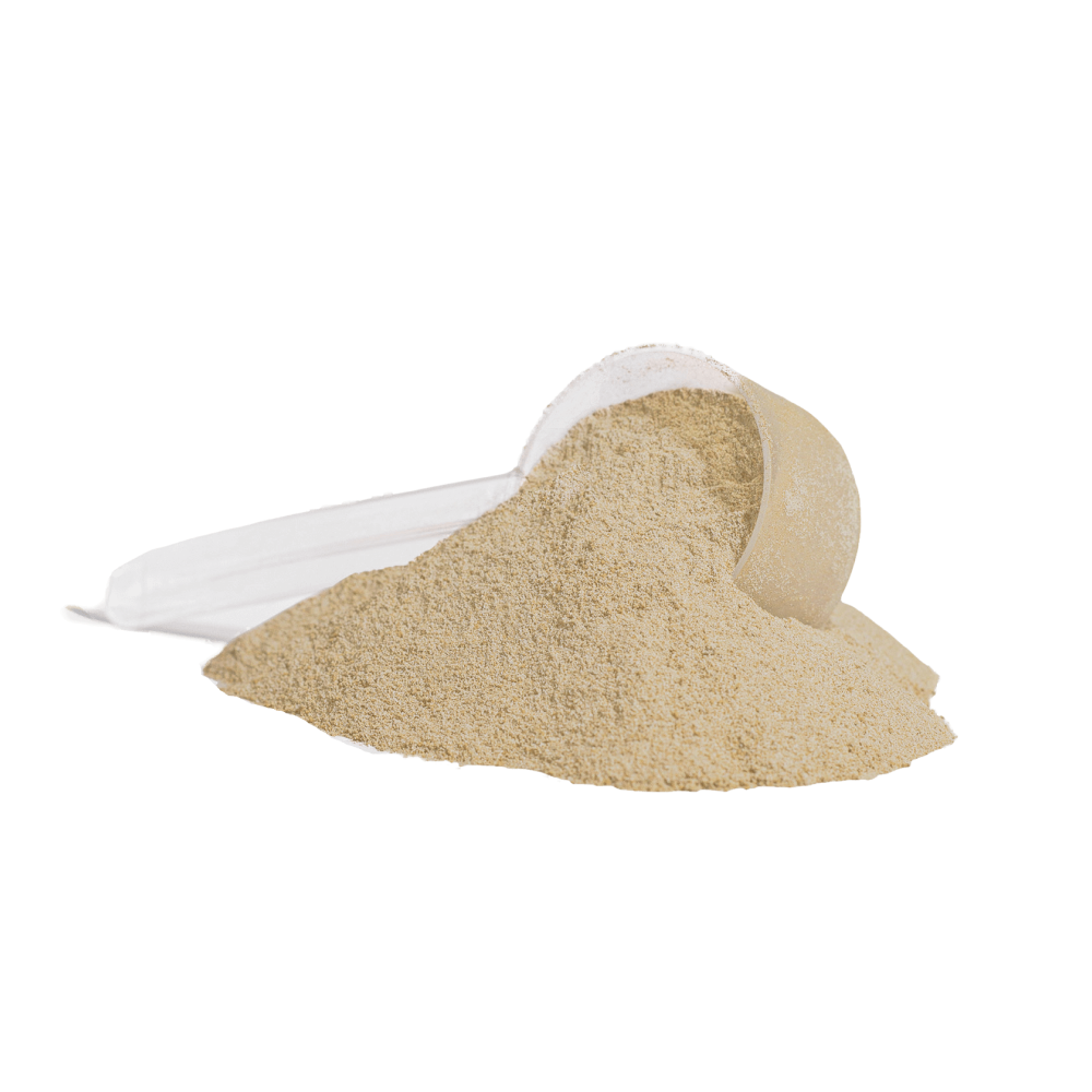 Whey Protein (Salty Caramel)